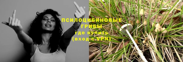 дмт Аркадак
