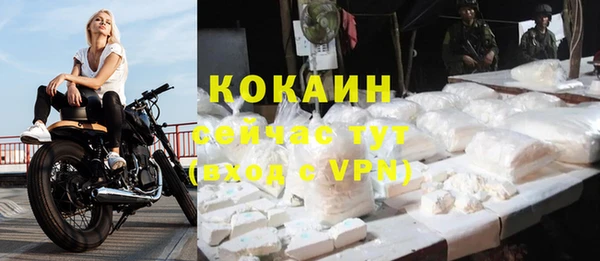молекула духа Пролетарск
