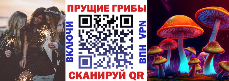 магазин  наркотиков  гидра   нарко площадка телеграм  Белозерск  Галлюциногенные грибы Psilocybine cubensis 